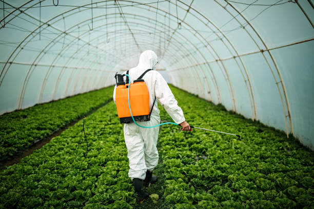 Insect Control in Burkesville, KY