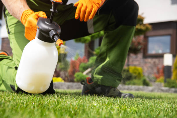Best Exterminator Services  in Burkesville, KY