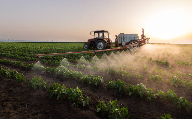 Best Mosquito Control Services  in Burkesville, KY