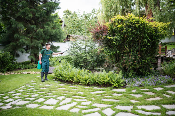 Best Affordable Pest Control Services  in Burkesville, KY