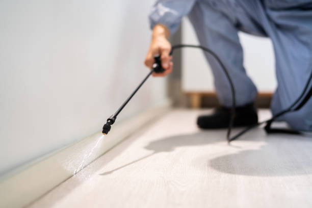 Best Insect Control  in Burkesville, KY