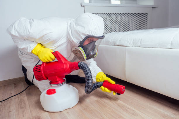 Best Wasp Removal Services  in Burkesville, KY