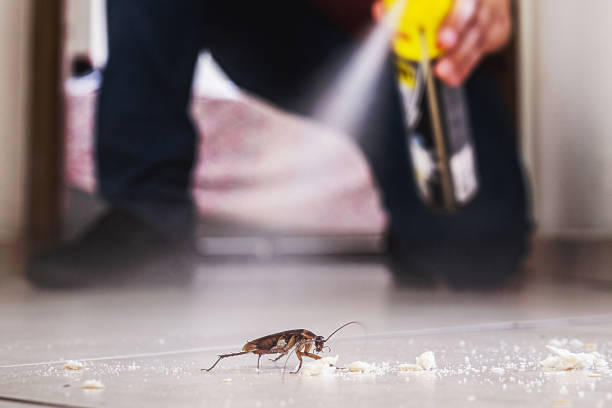 Best Bed Bug Extermination  in Burkesville, KY
