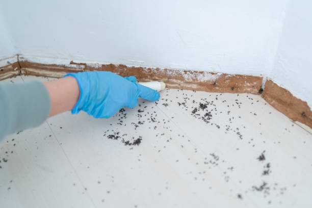 Best Best Pest Control Companies  in Burkesville, KY